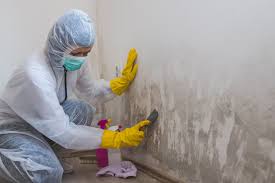 Best Environmental Consulting for Mold Prevention  in Hooverson Heights, WV